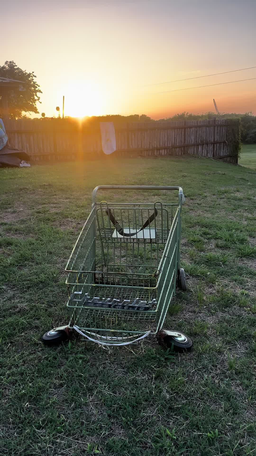 @that.pimp_cart09