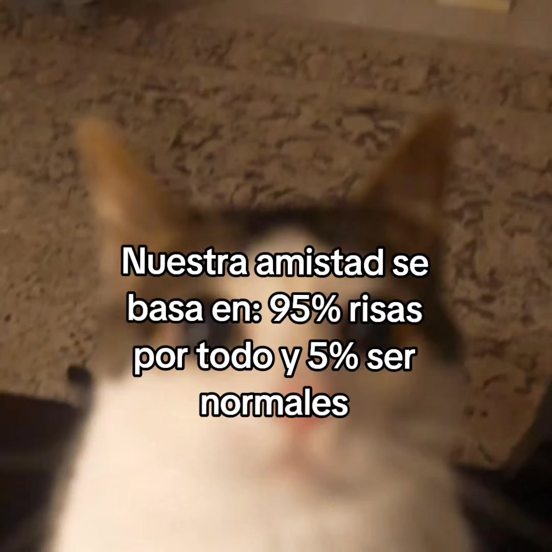 @goodvibessxd