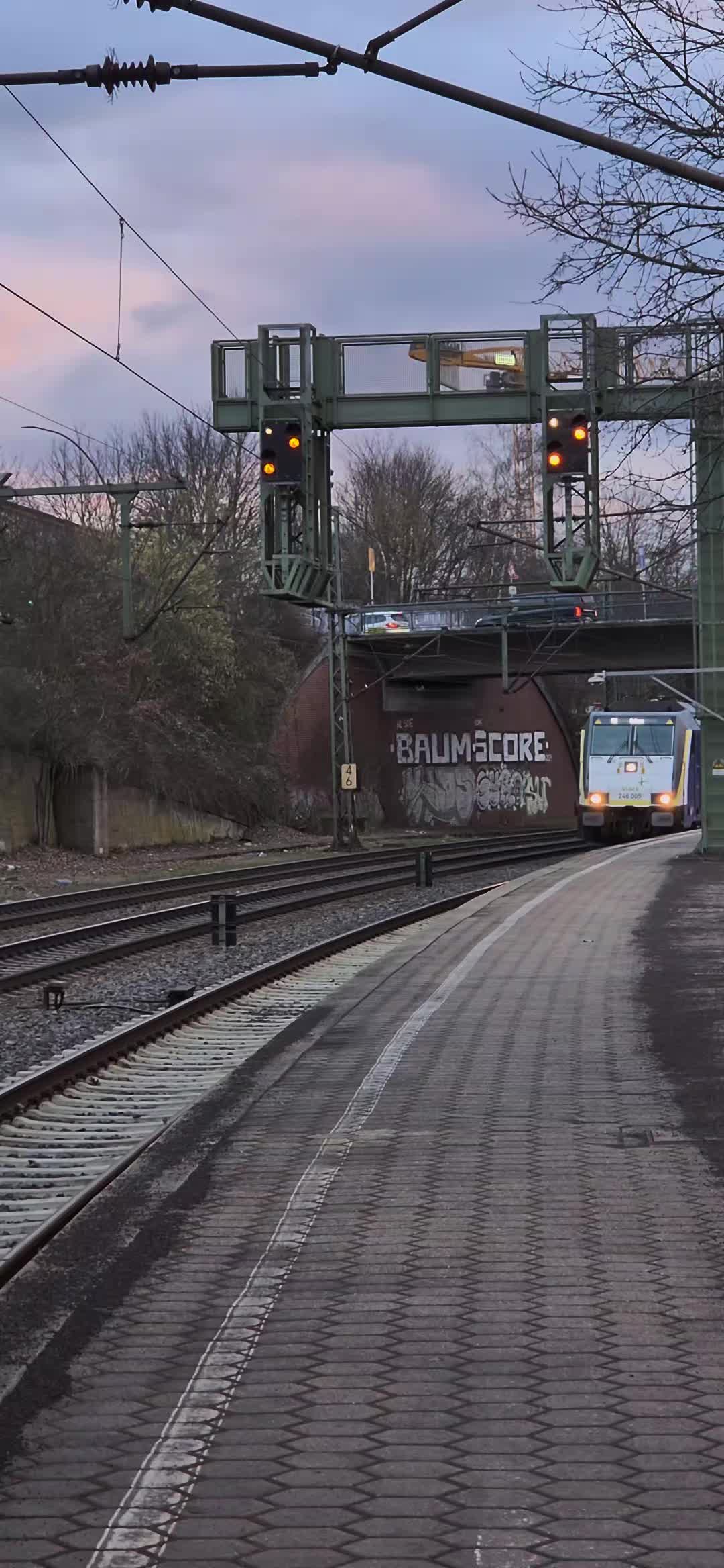 @trainspotter_krabbe
