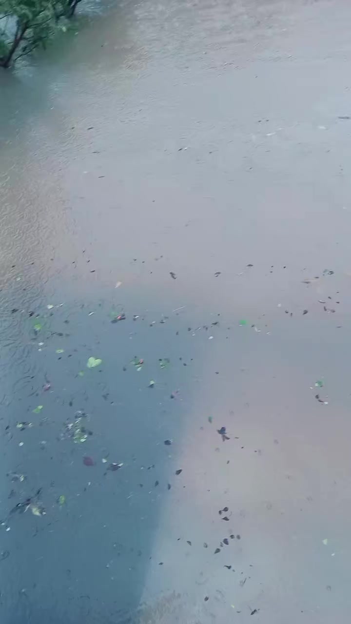 @Irfan laliya 🇵🇰