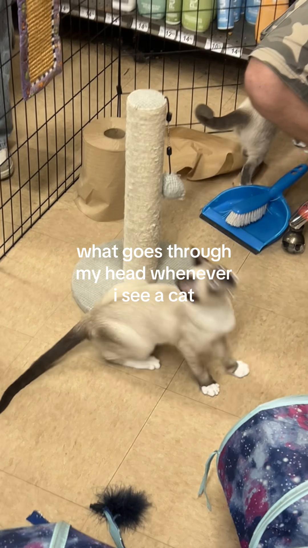 @gina