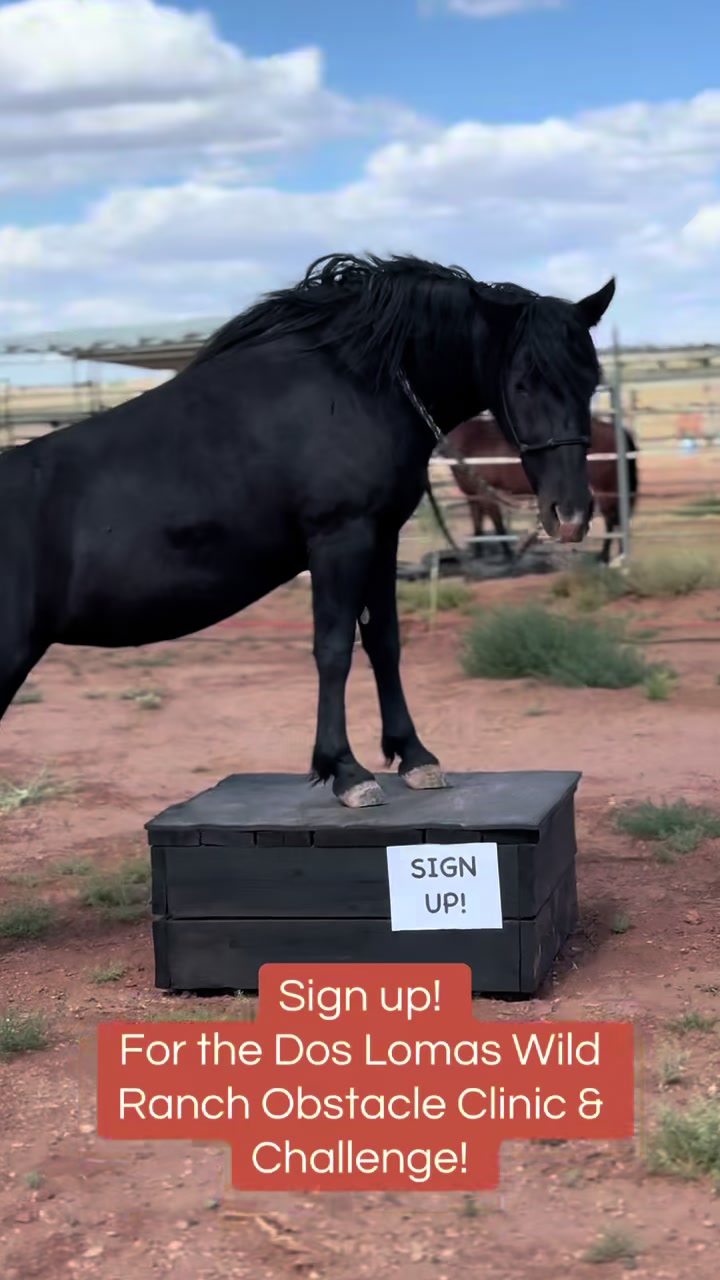 @CanyonStateHorsemanship