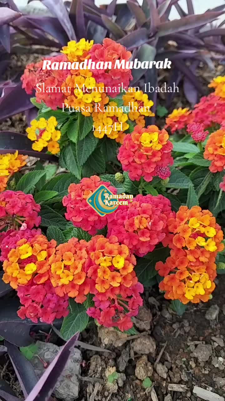 @dhesri73