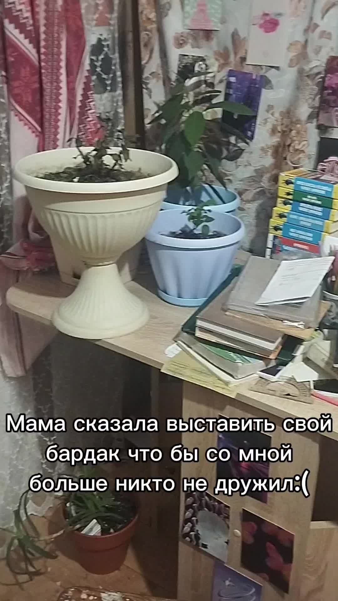 @Ladiks 🦋