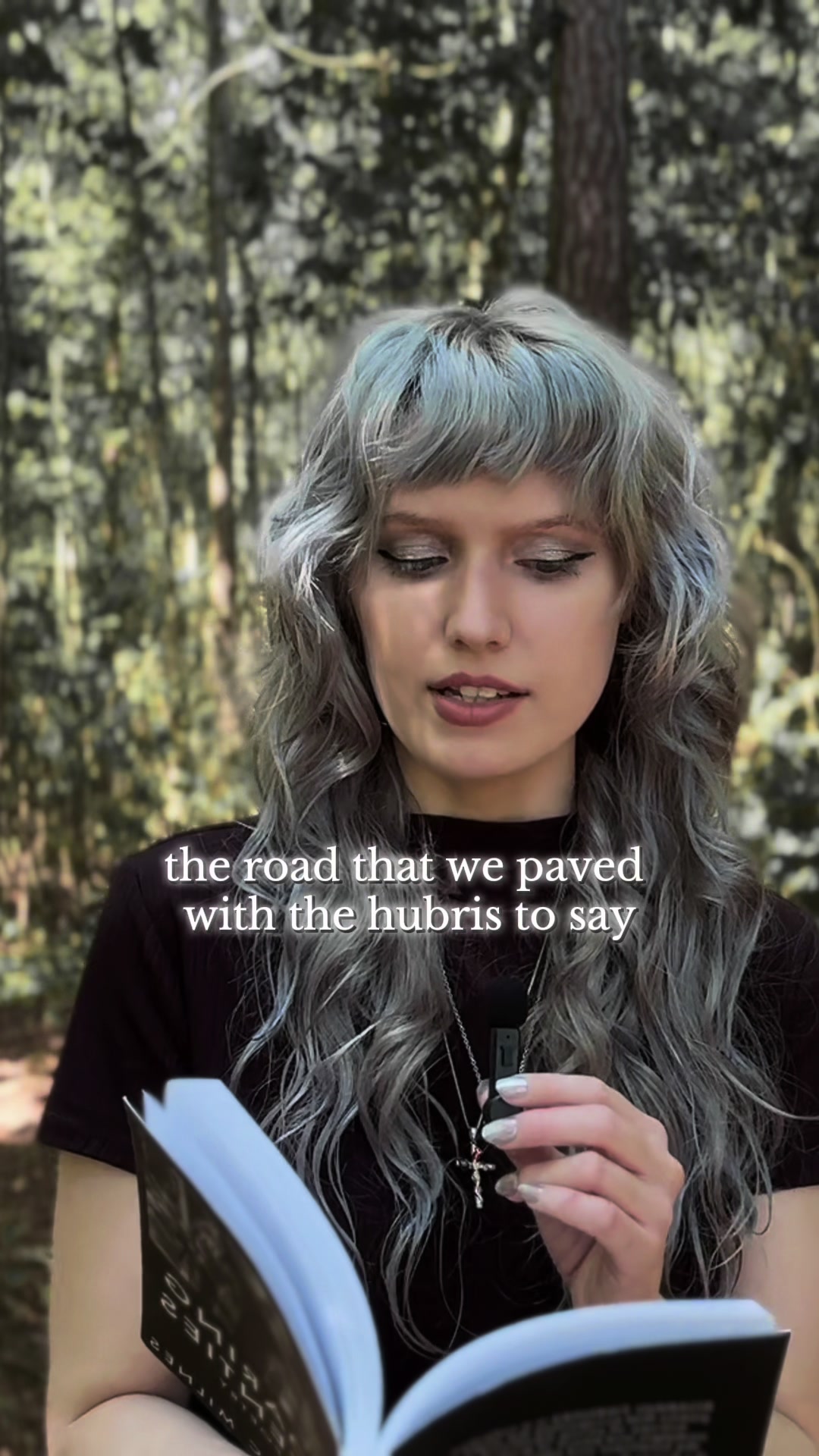 @silver fox
