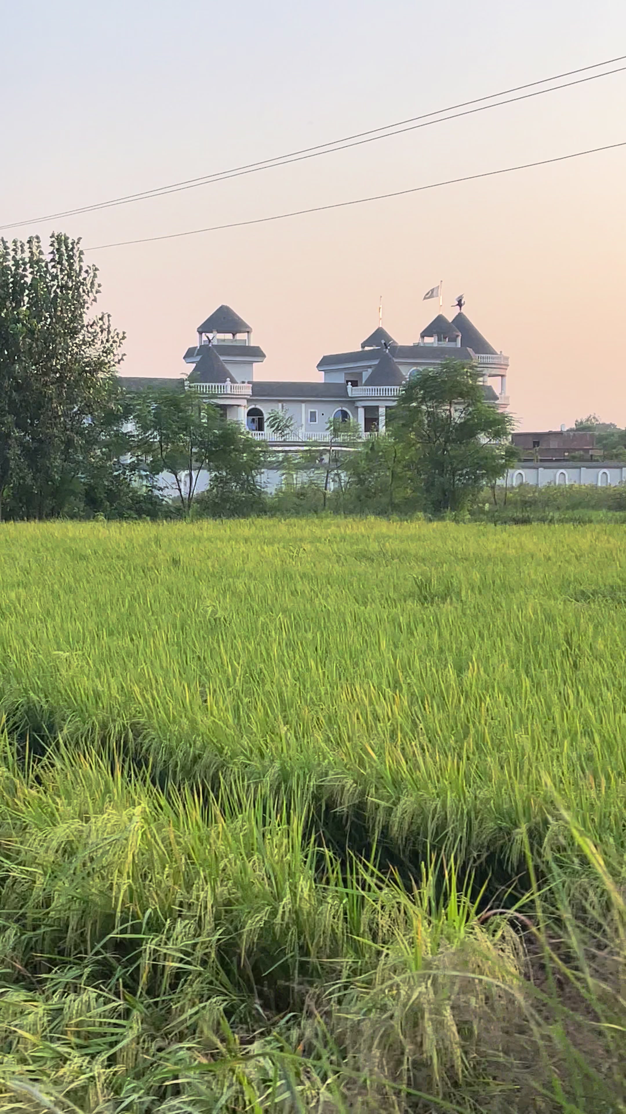 @Rehab Fatima 🇵🇰