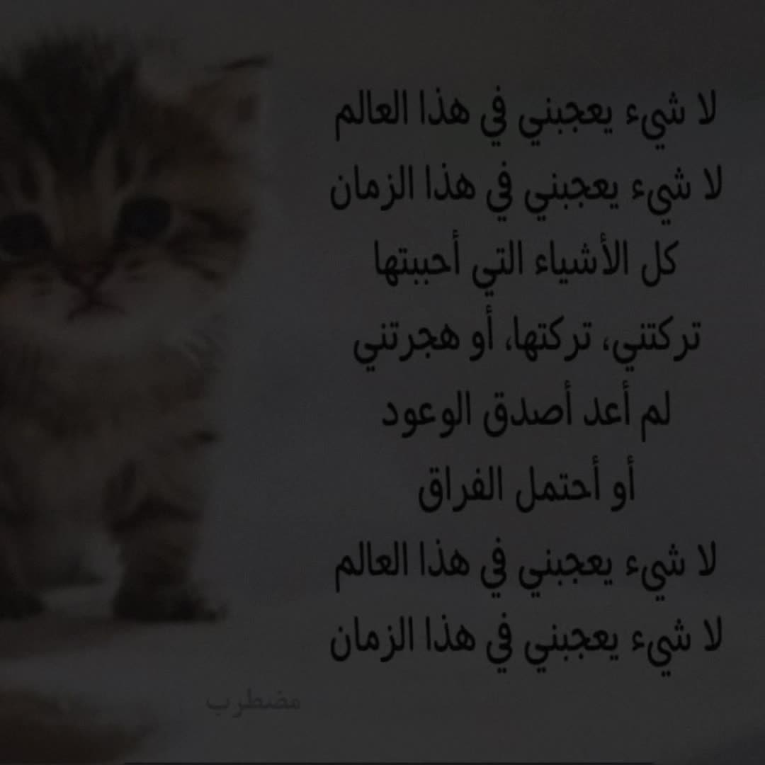 @user31213954716