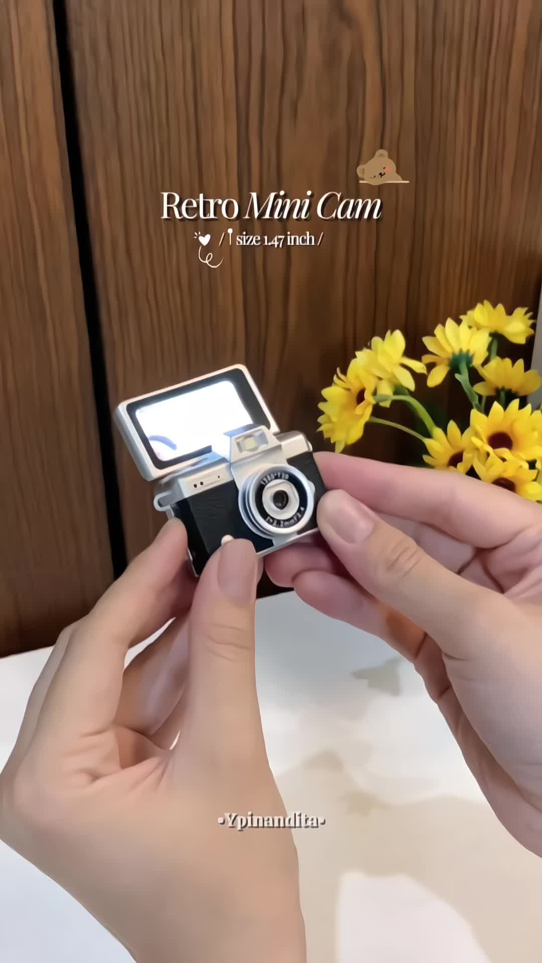 @Ypinandita