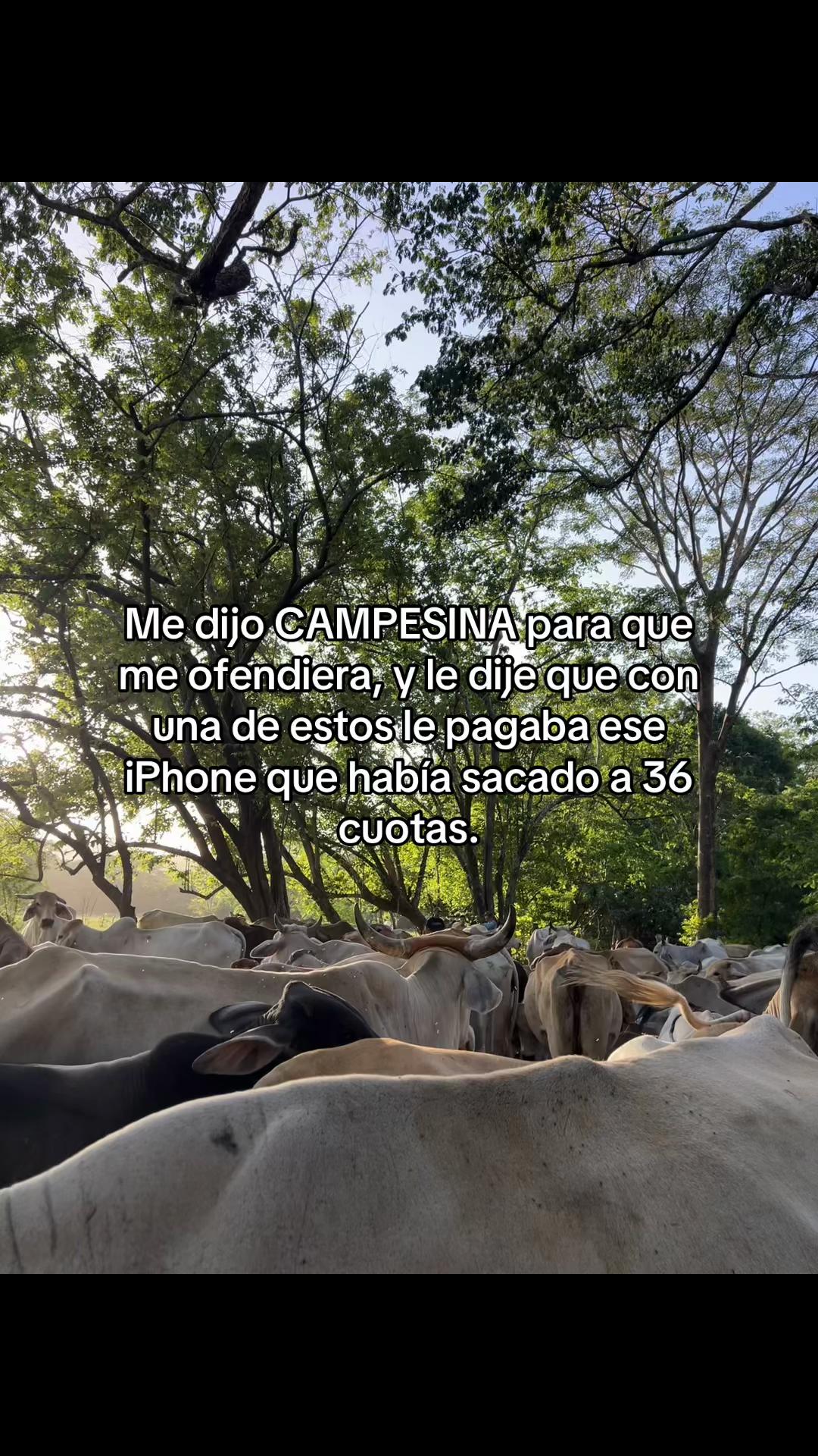 @Liss! 🤠
