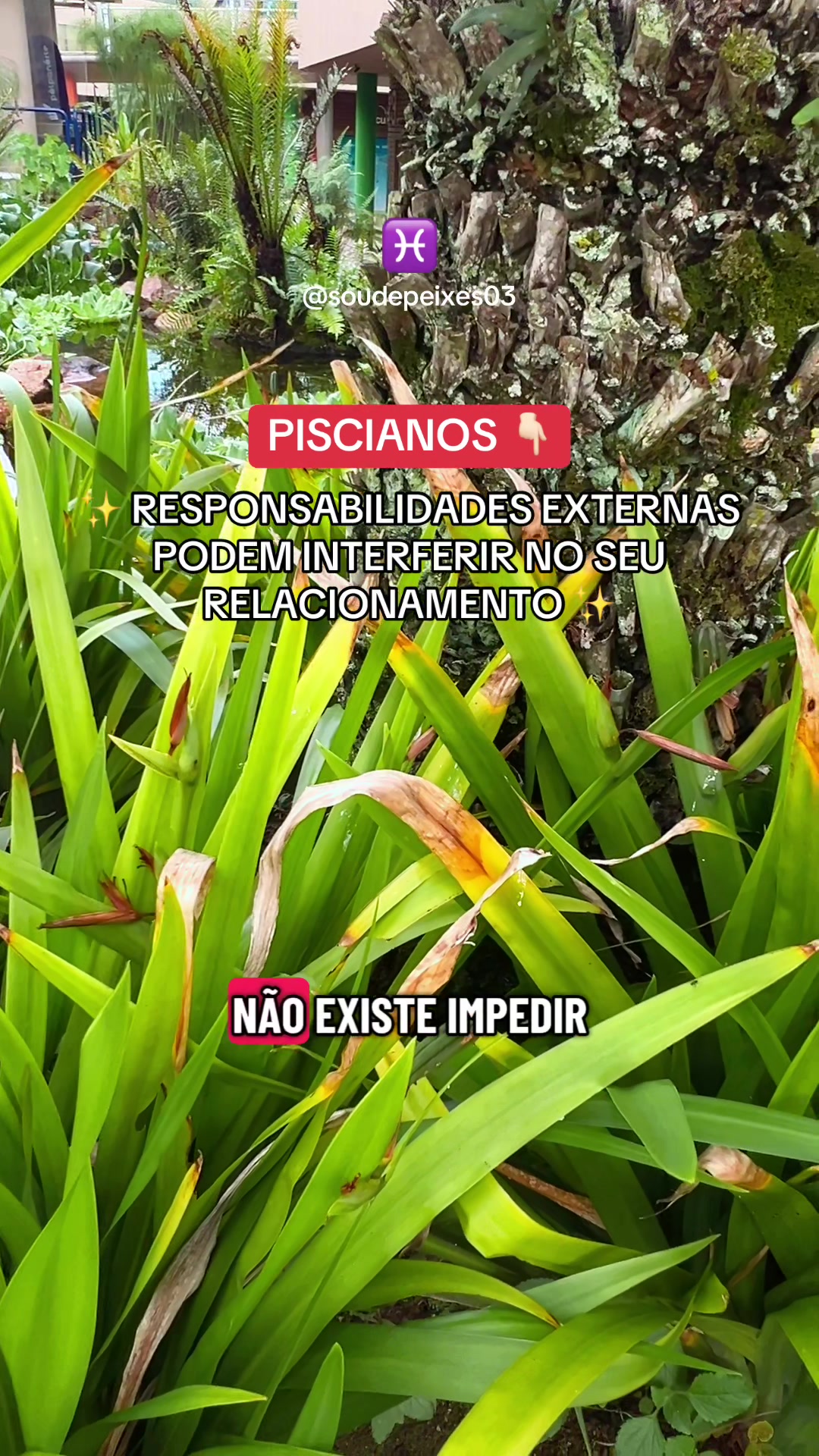 @soudepeixes