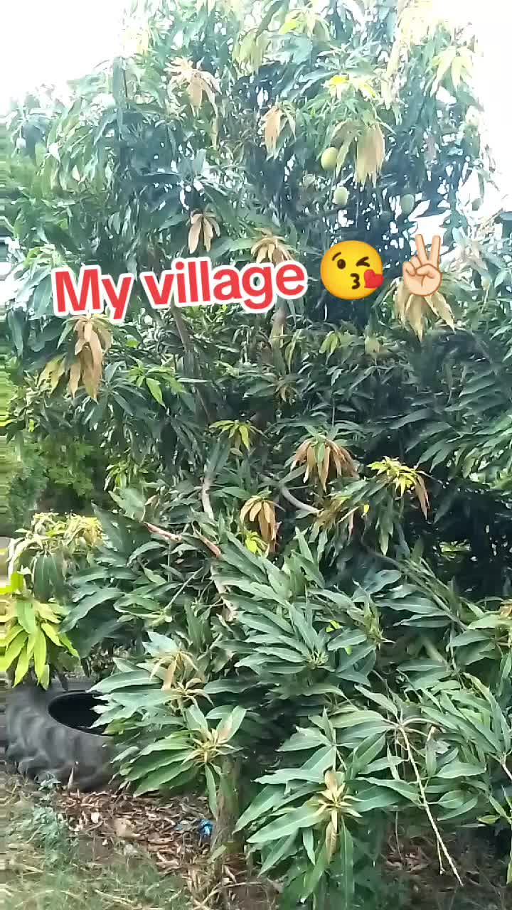 @Ziddi✌️🤨
