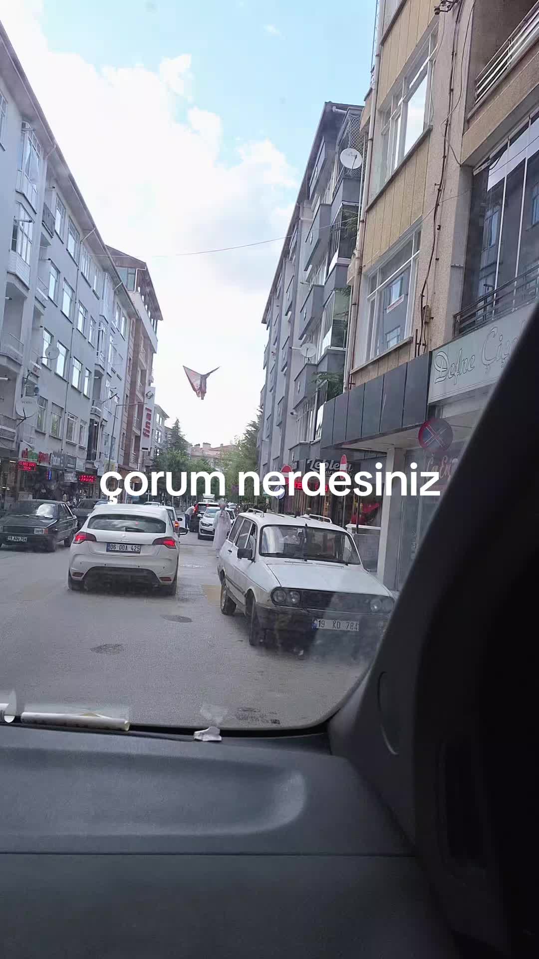 @g&uuml;lo g&uuml;l kız