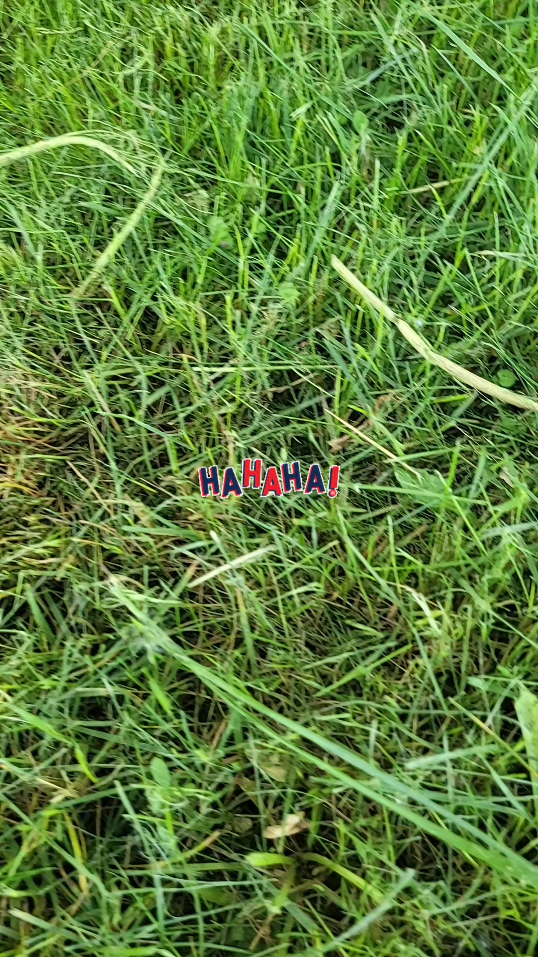 @Айнур74❤️Куаныш 68❤️