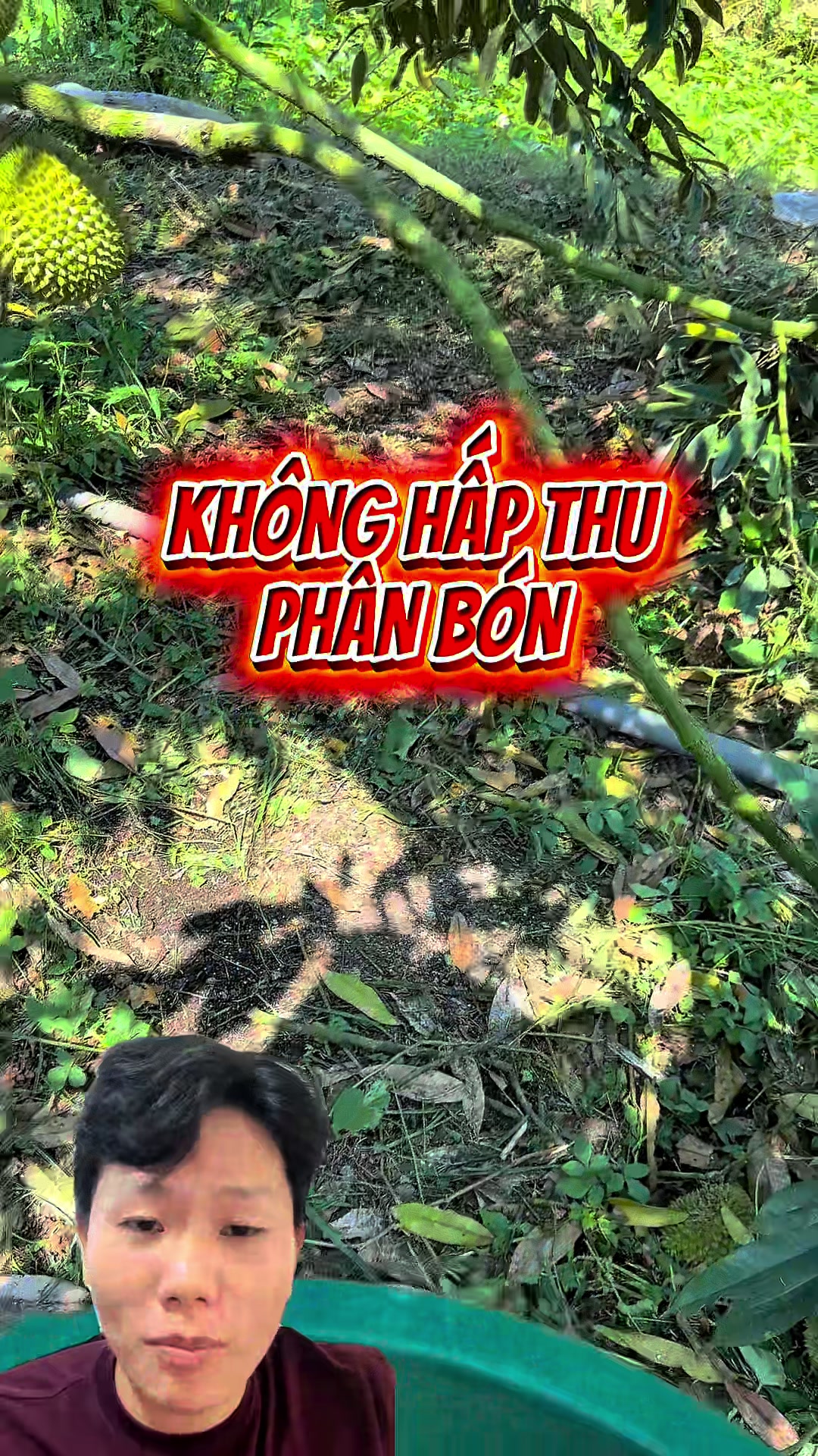 @Hộ Kinh Doanh Hào - Hưng
