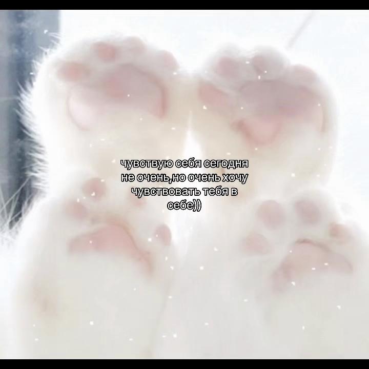 @݁˖𝜗ৎ ᥎ᥲᥒiᥣᥣᥲ‧˚꒰🐾୭ ˚