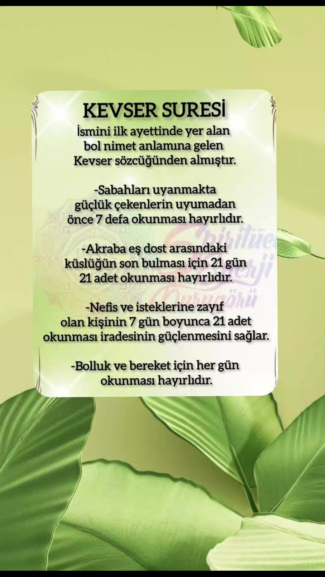 @hayat nereye gidiyor