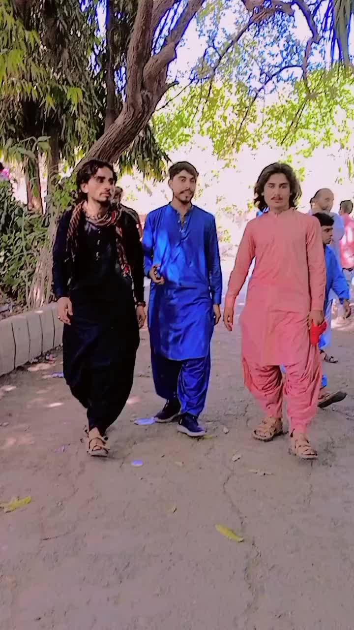 @adilarmani235