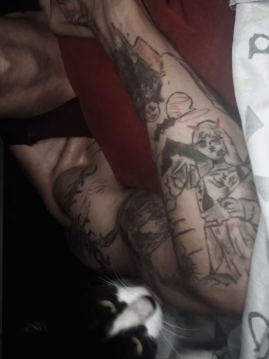 @luiismes
