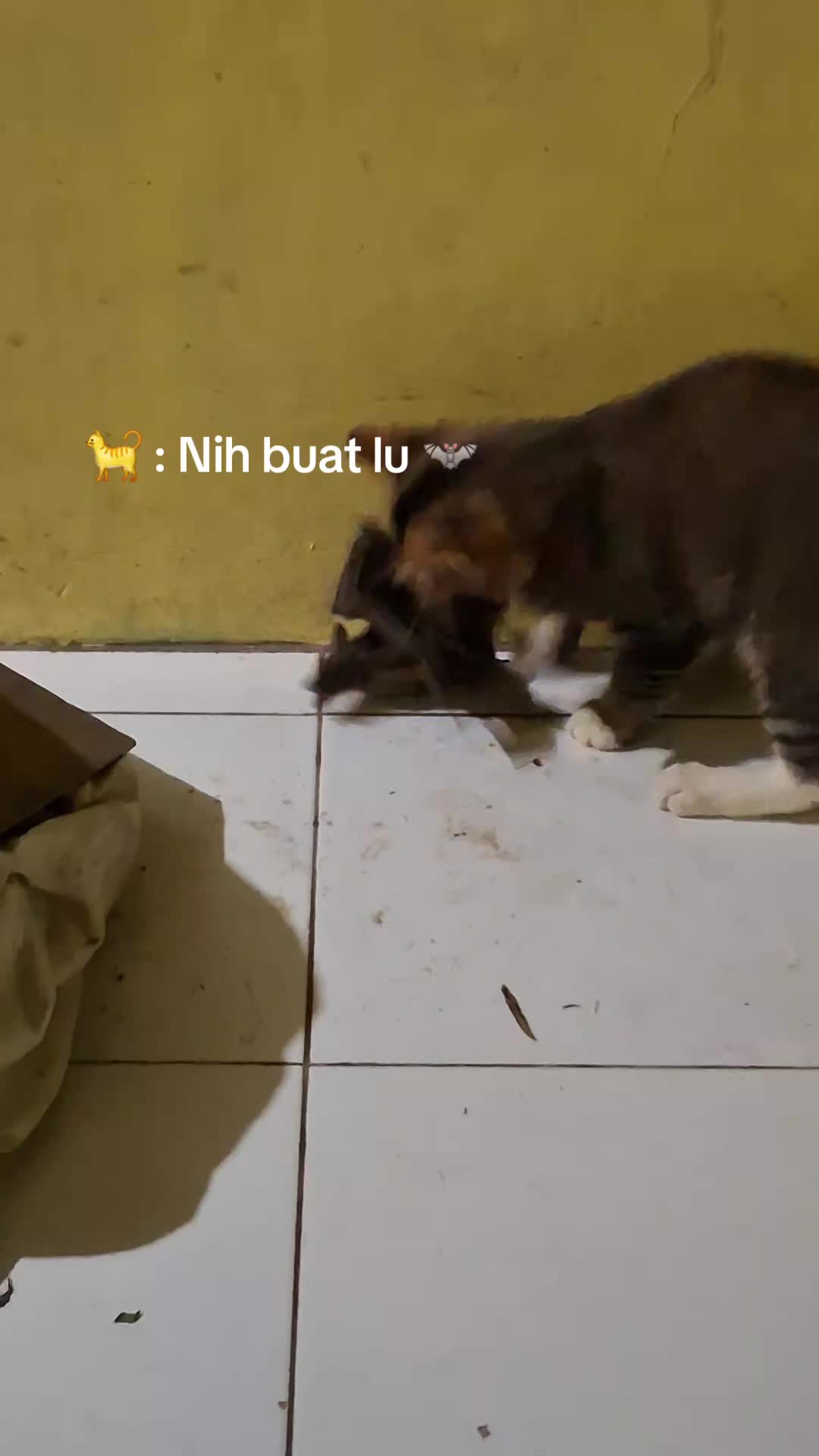 @May NS🤎