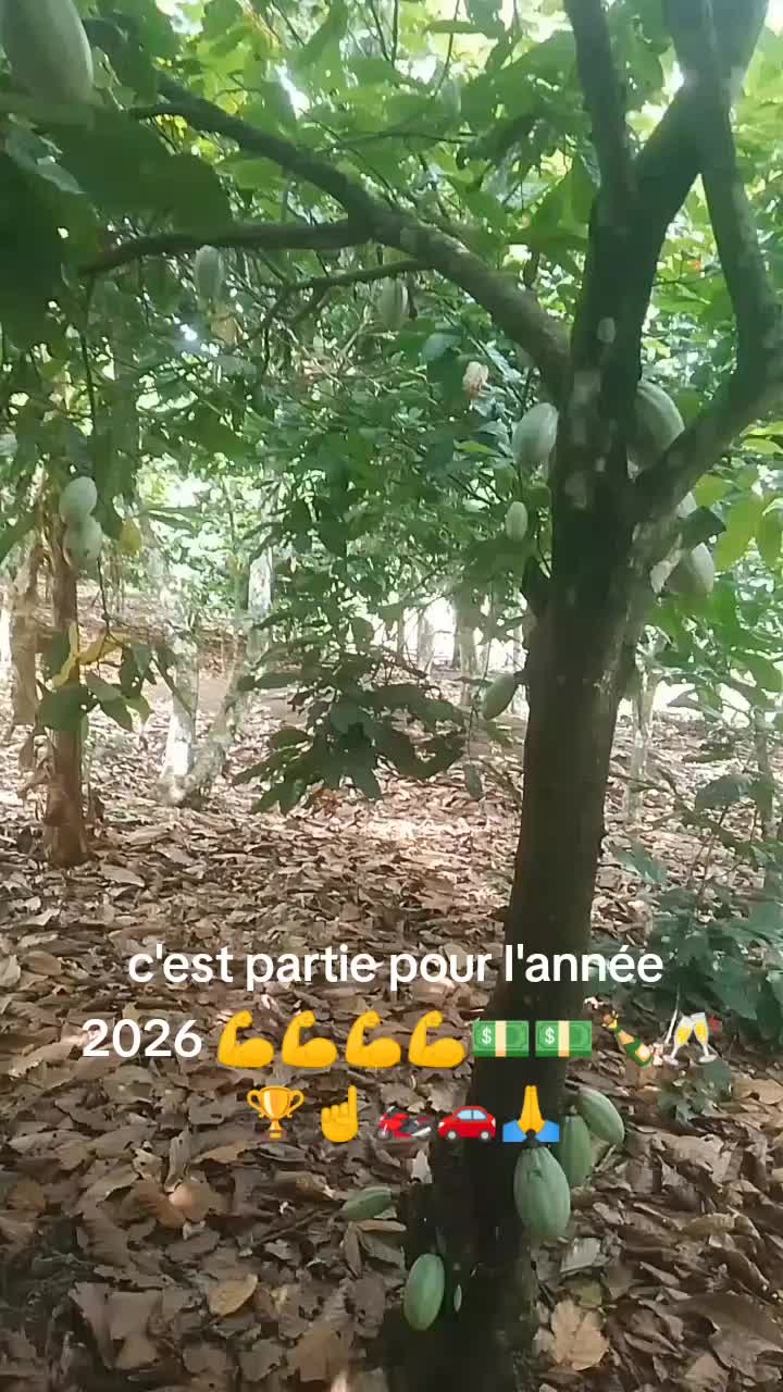 @sib sie Lazare 1er