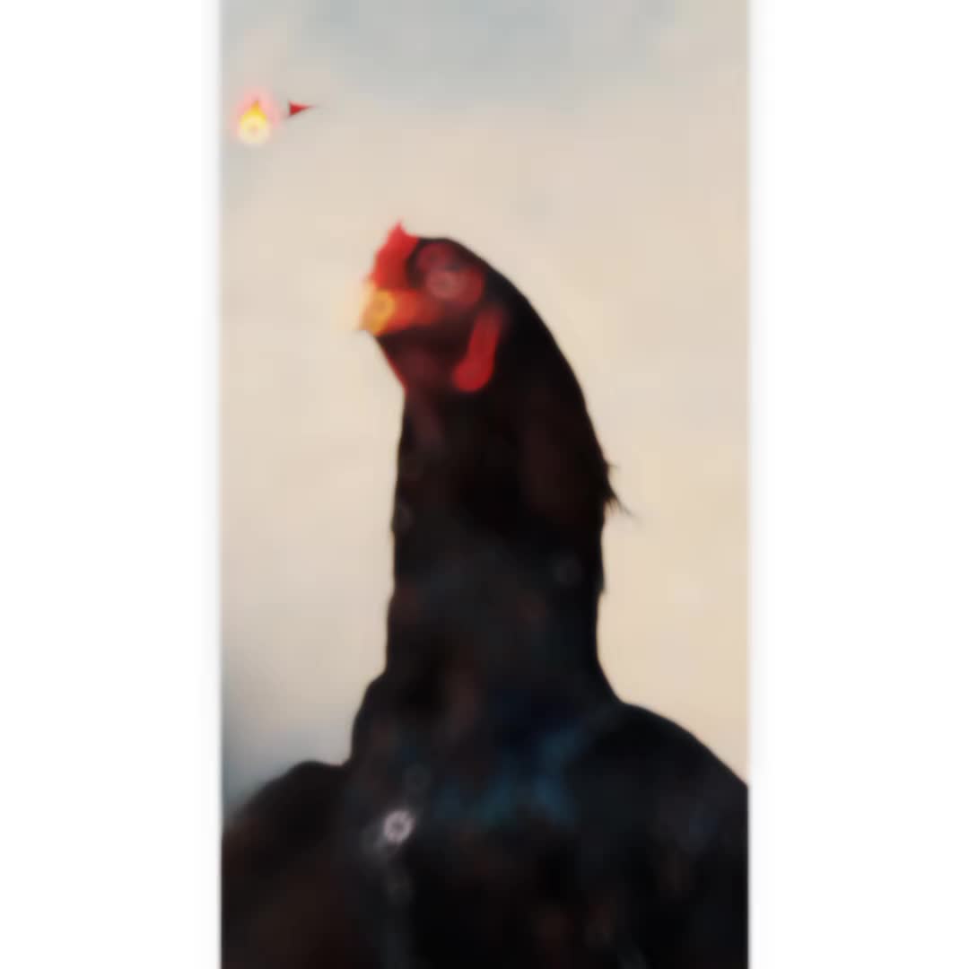 @شــوق 🔥