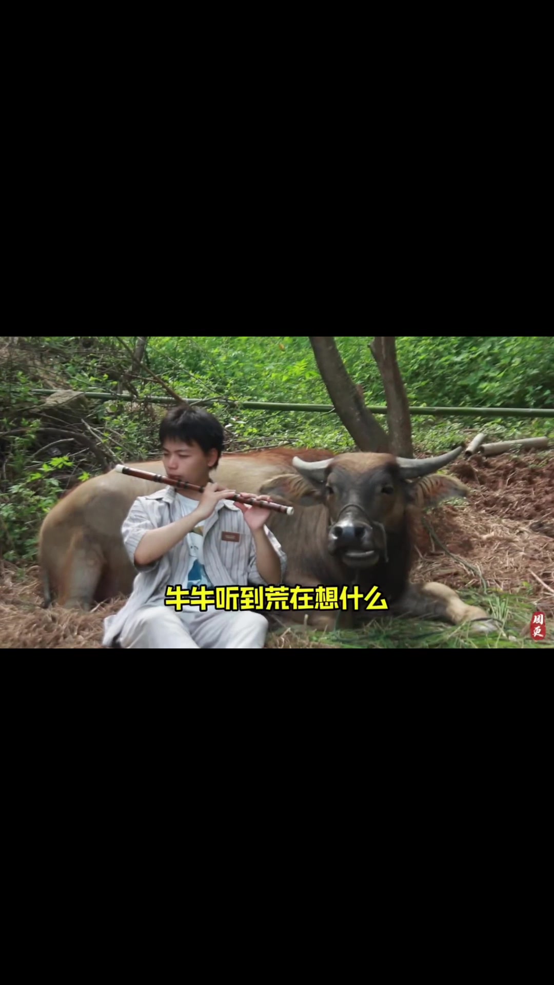 @🎋爱竹笛 Đam M&ecirc; S&aacute;o Tr&uacute;c 🪈