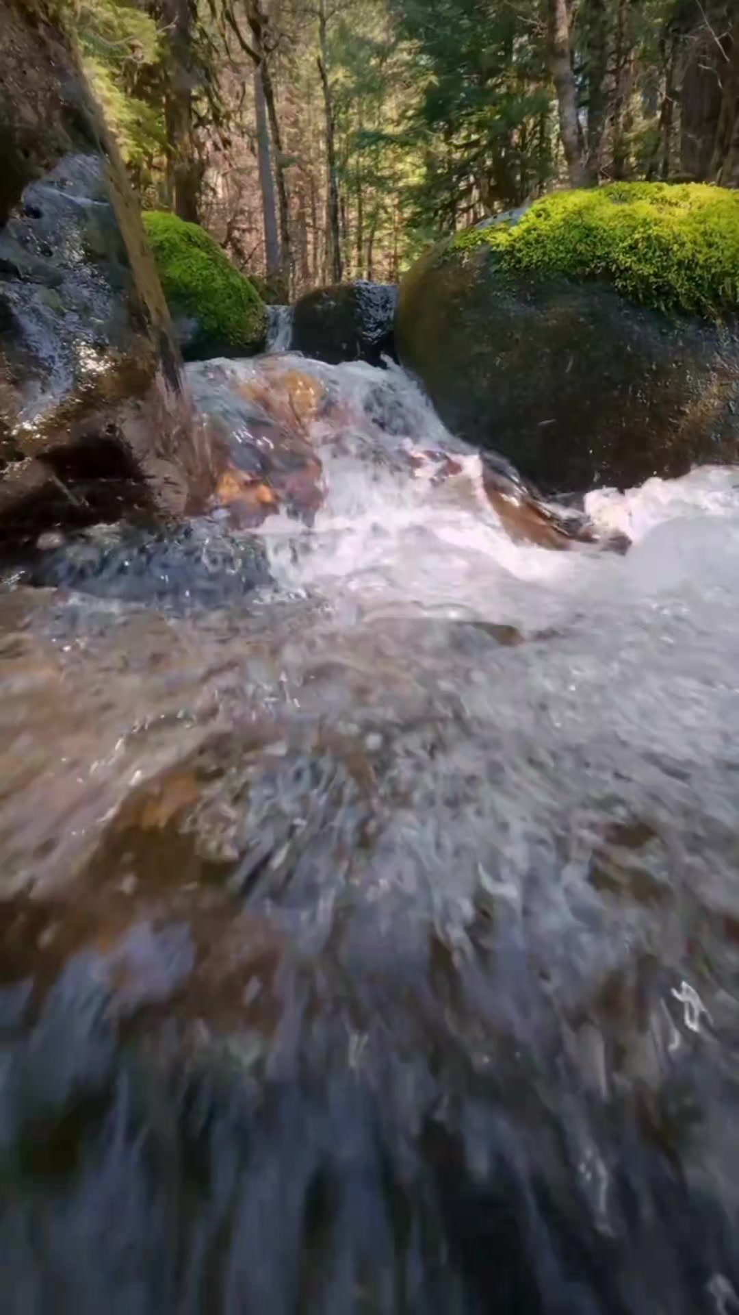 @emujibril2