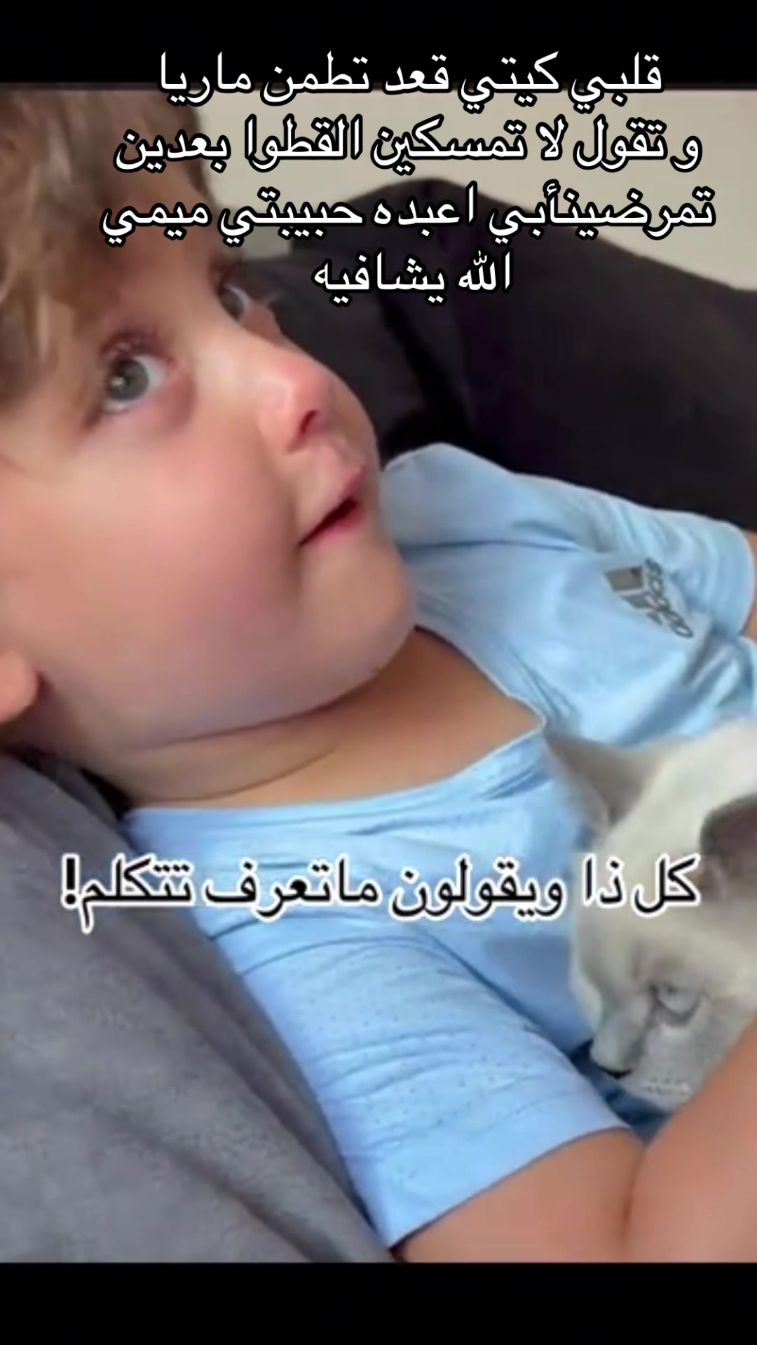 @فانز امينه جود ماريا كتاليا ✨