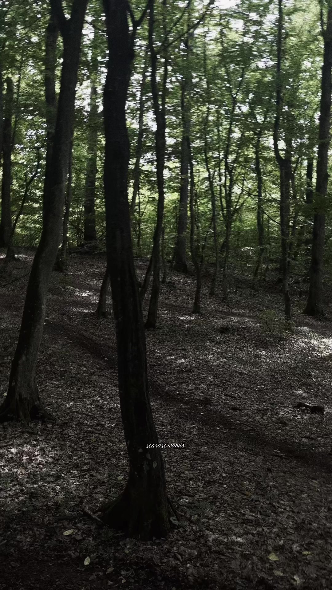 @scarascreamis