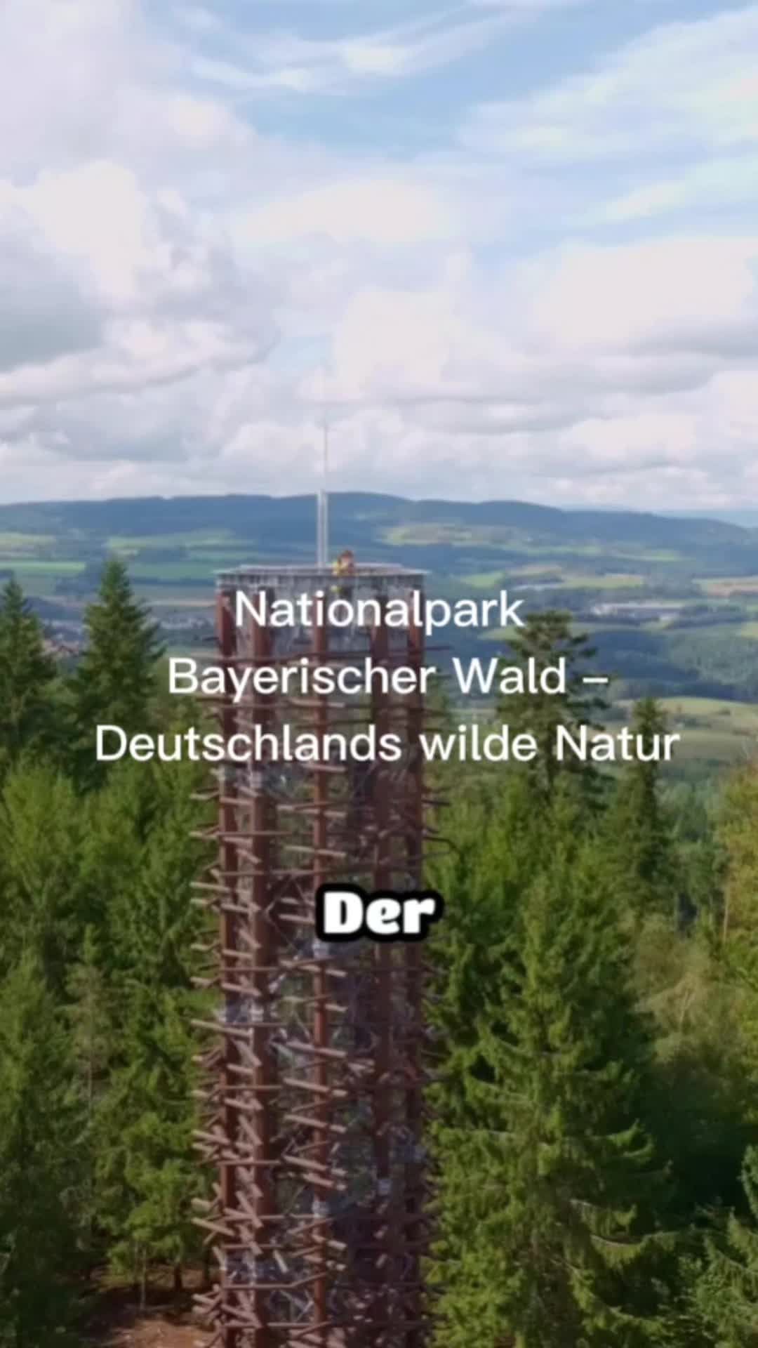 @DEU & EU Travel- Kurzvideos