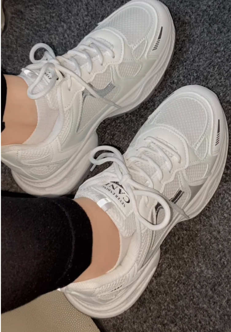 @Laillysa🦩