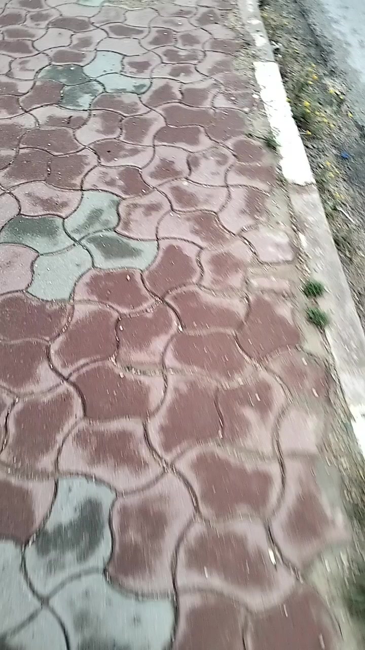 @salah dezam