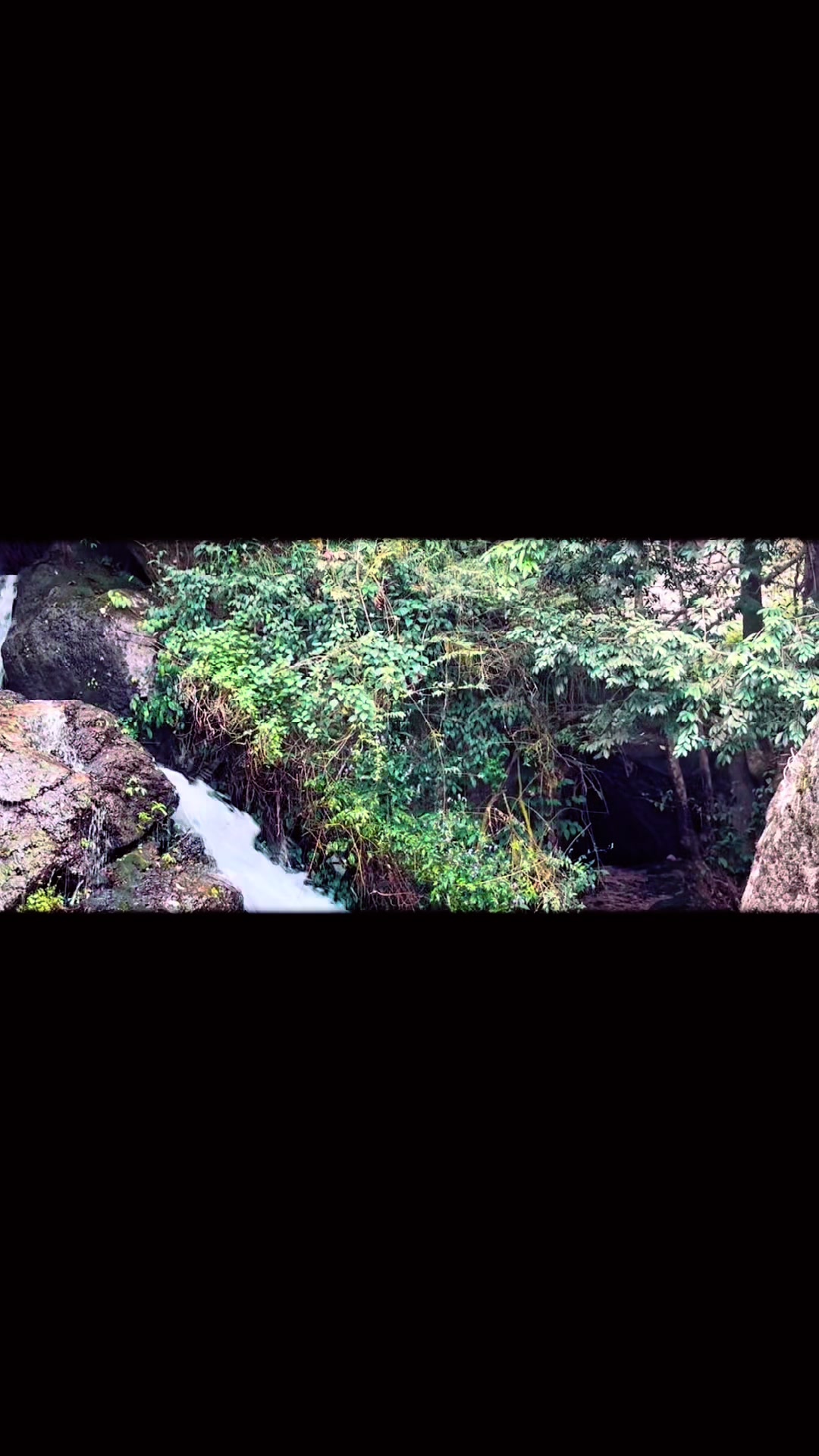 @Manju Gurung