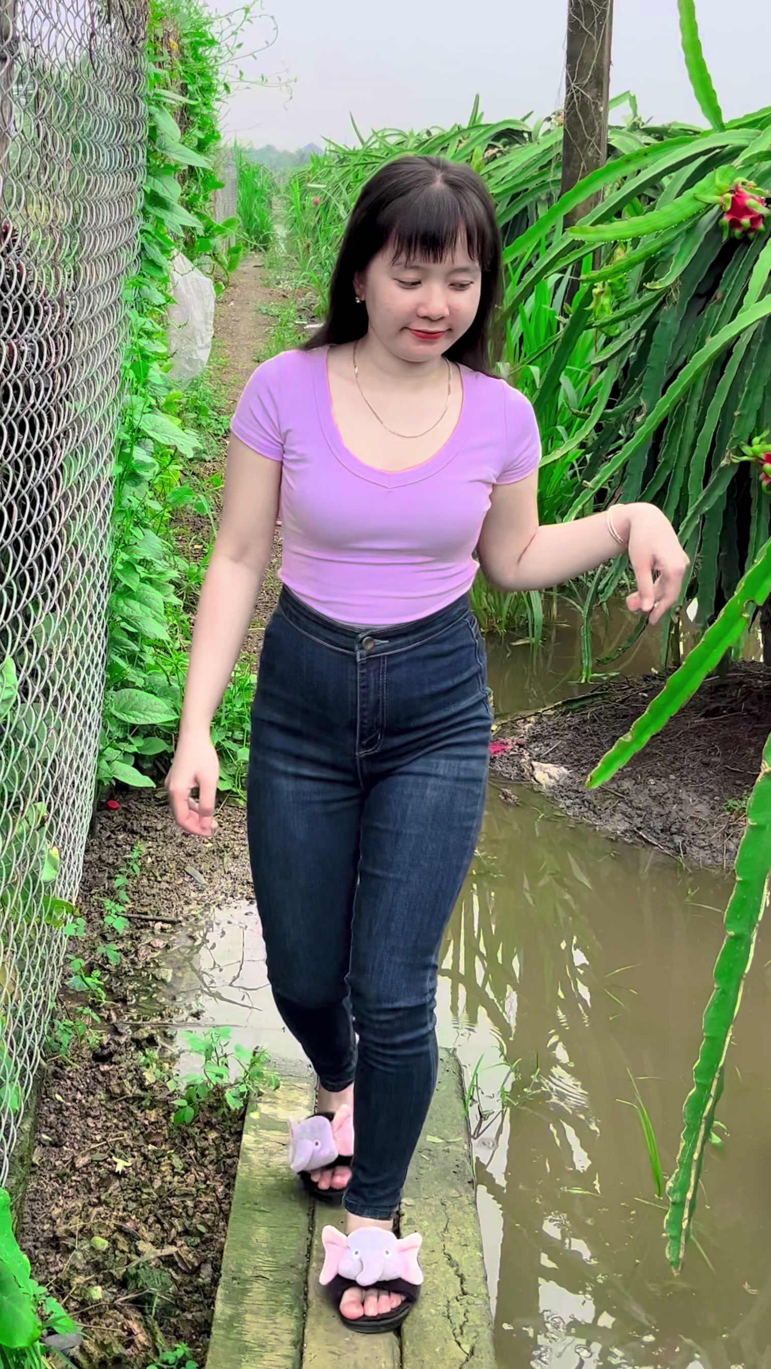 @Cẩm Trúc