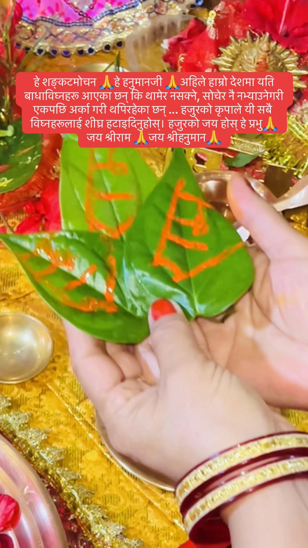 @Sumeena Joshi