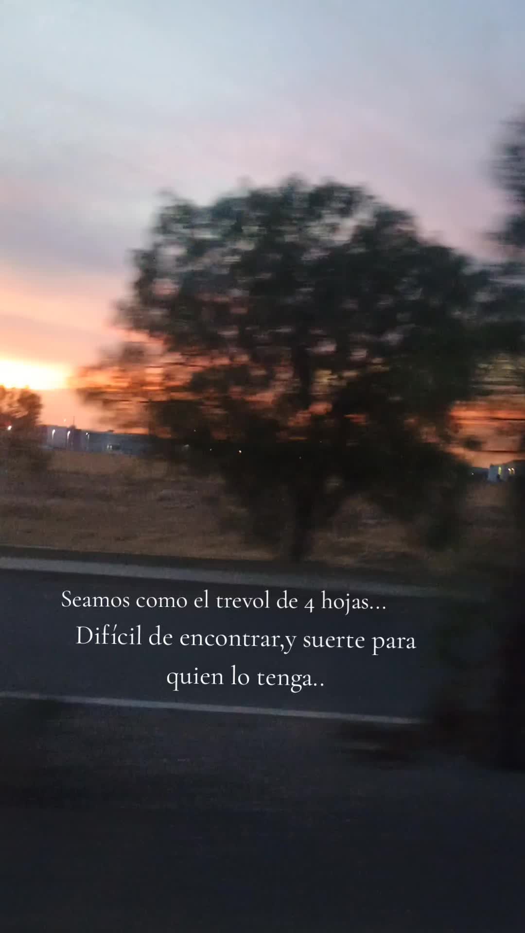 @Paola Lopez