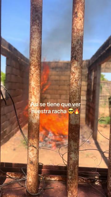 @mateo 🧑🏻🦱