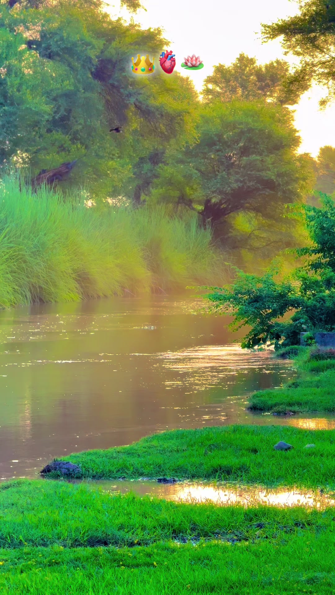 @پنجابی کلچر 🌾🍂