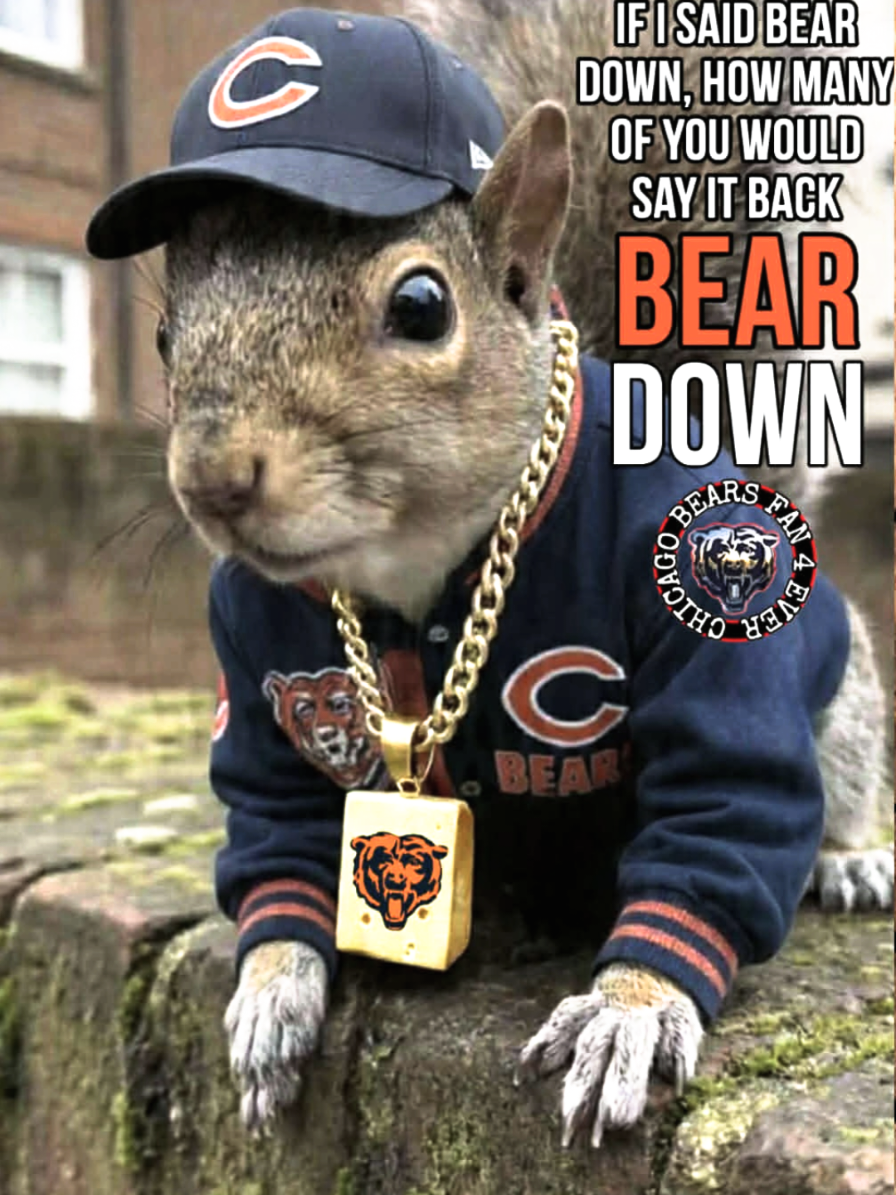 @-=»🐻«ɮɛǟʀֆ ʄǟռ»🏈«=-