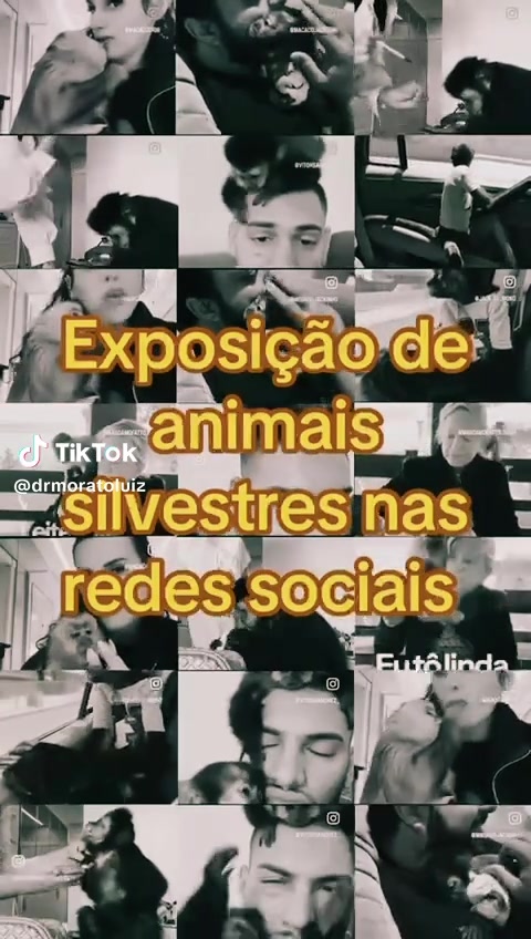 @Elisabete Silva