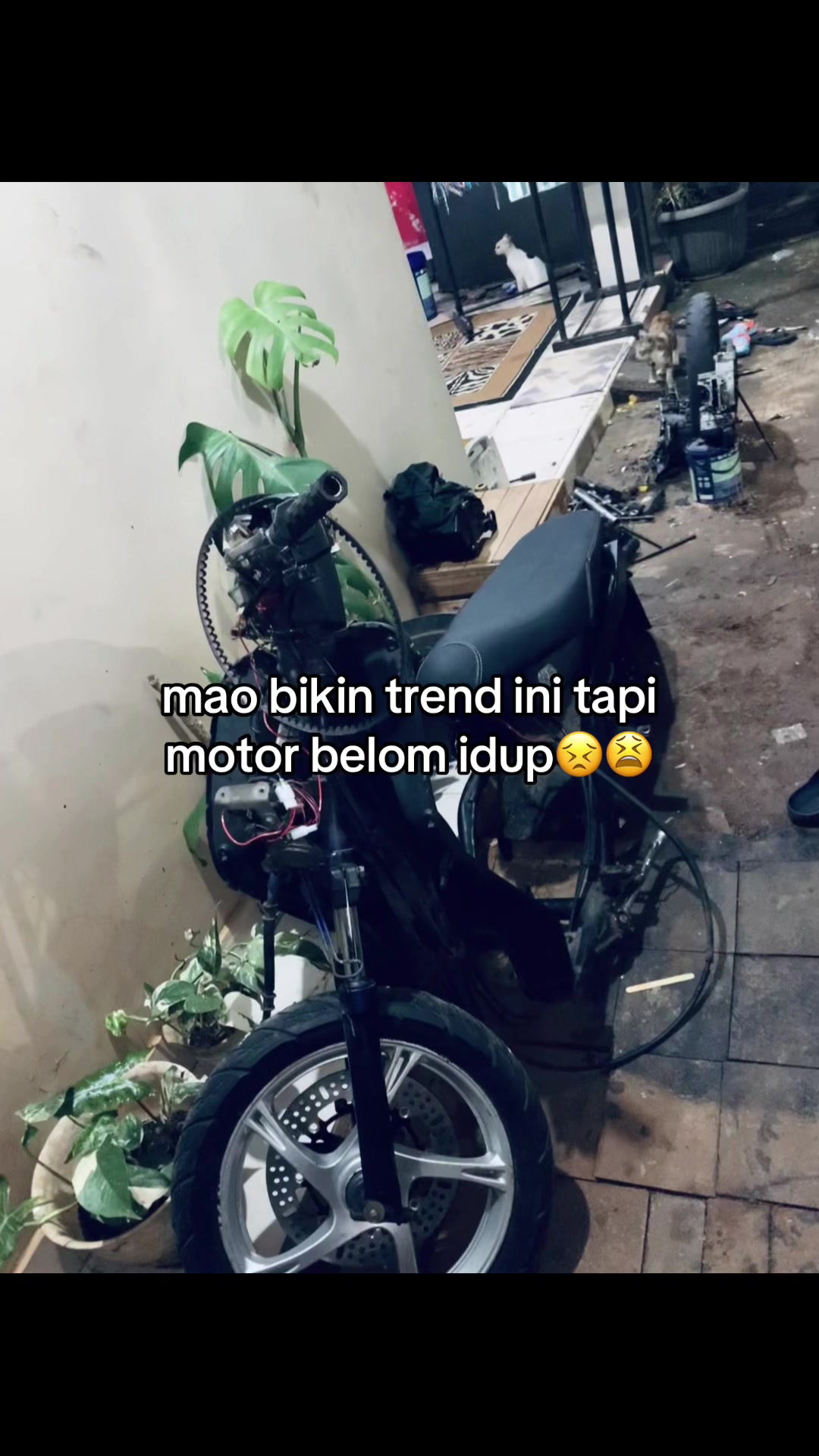 @MiiDiii💫