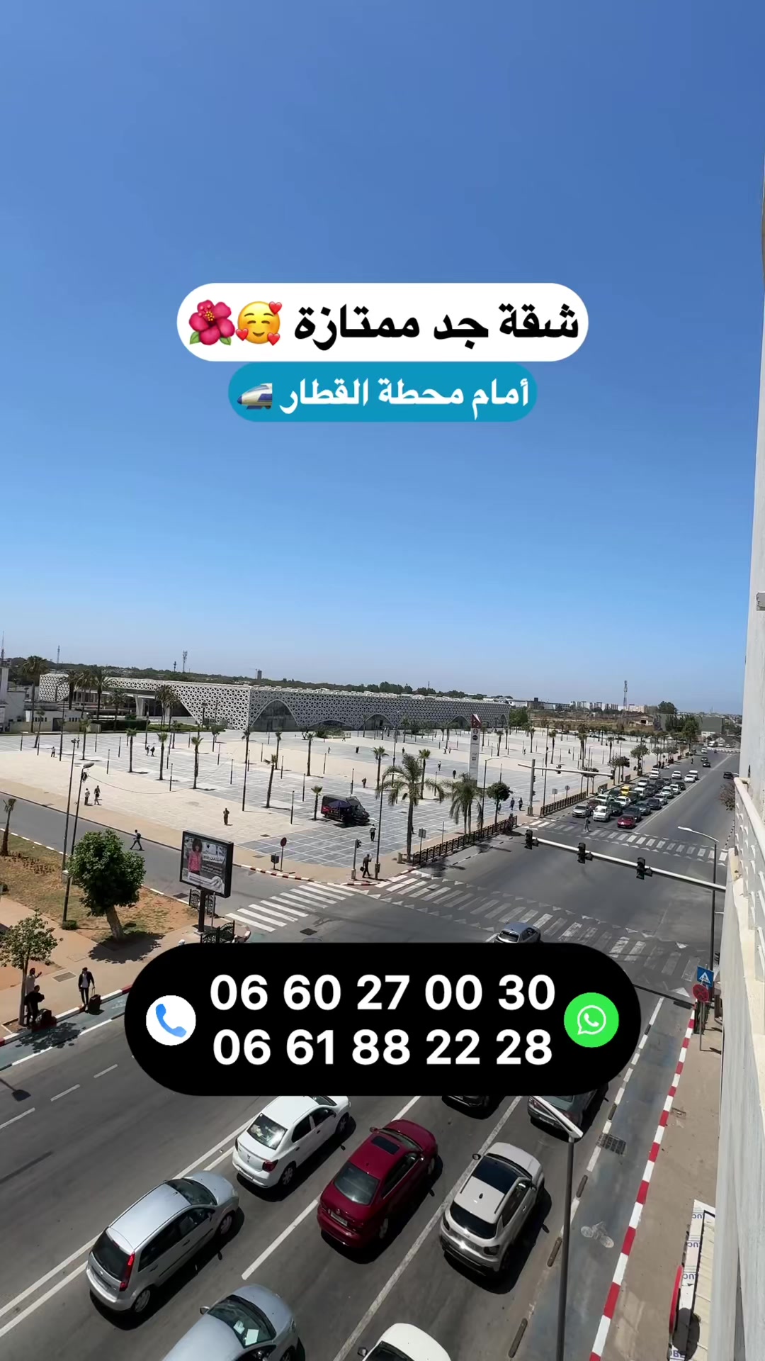 @Zakaria Haddad 🇲🇦🇵🇸