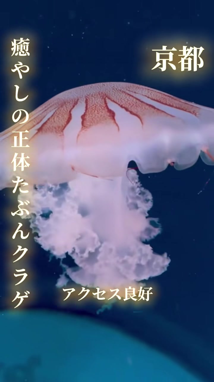 @寝不足夜更かしバリトン