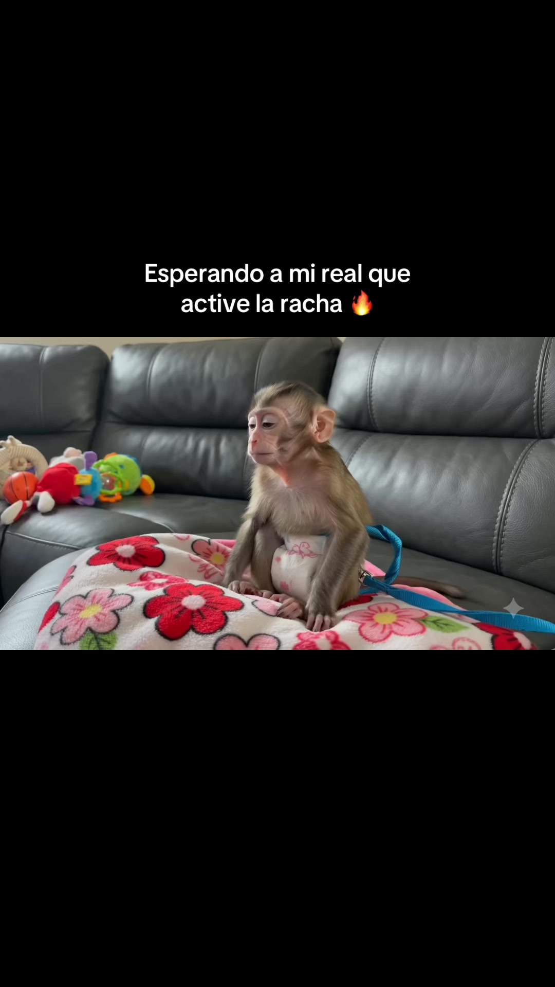 @RabPesito 🔥