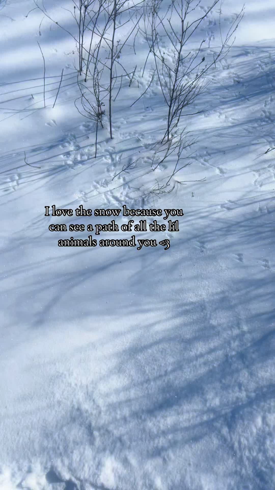 @sanriobishh