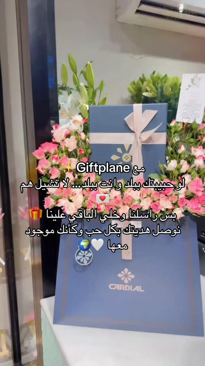@giftplane_