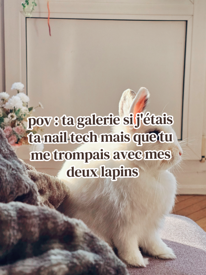 @LYS