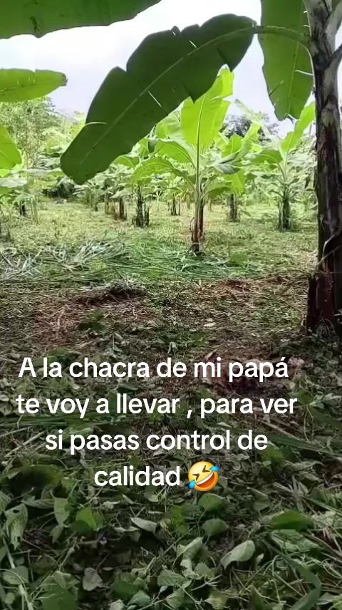 @Huancas ๐ฉโ๏ธ๐๐ฉธ๐๐ค