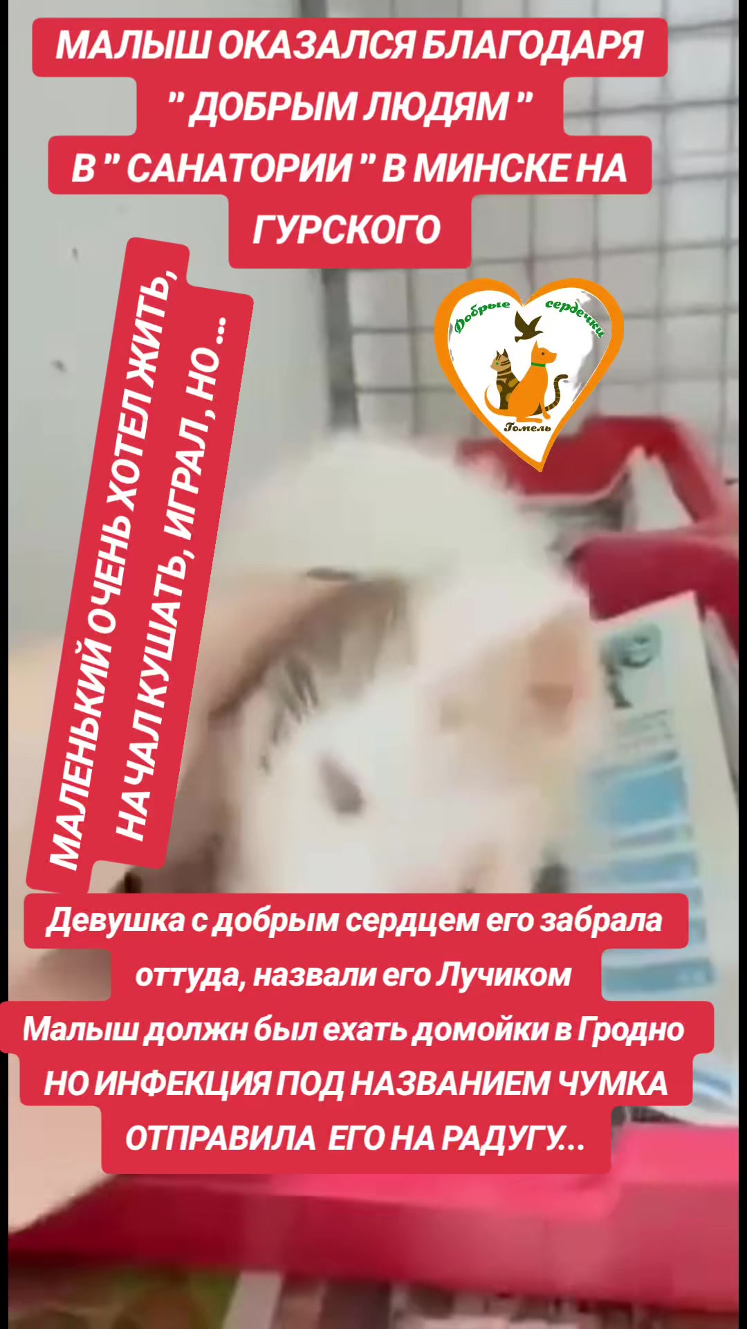 @Марина