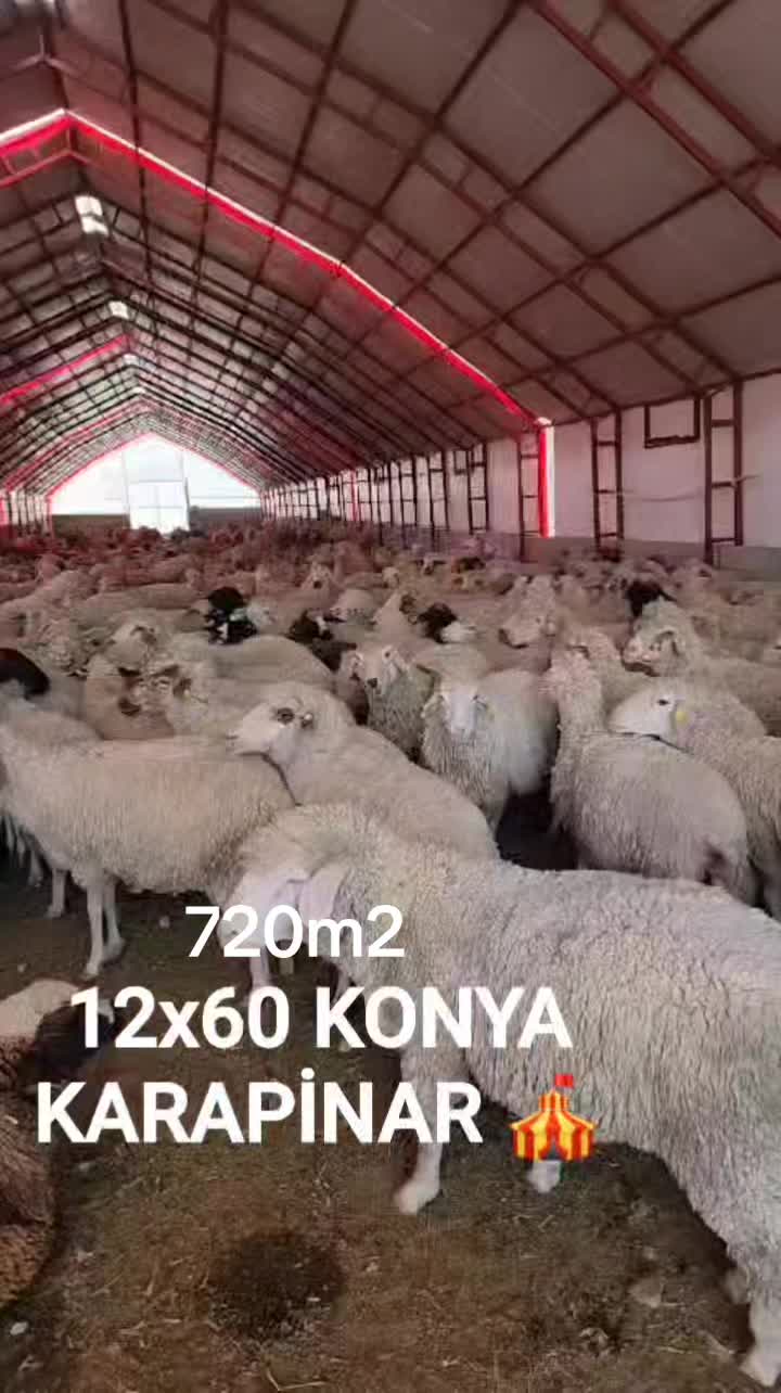@Arzu Yılmaz